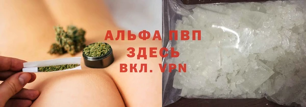 сатива Медвежьегорск